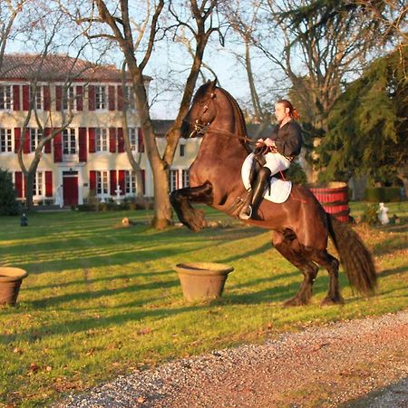 Le Relais Du Silence Chateau Lavail Labastide-dʼAnjou Eksteriør billede