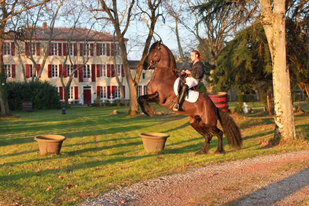 Le Relais Du Silence Chateau Lavail Labastide-dʼAnjou Eksteriør billede
