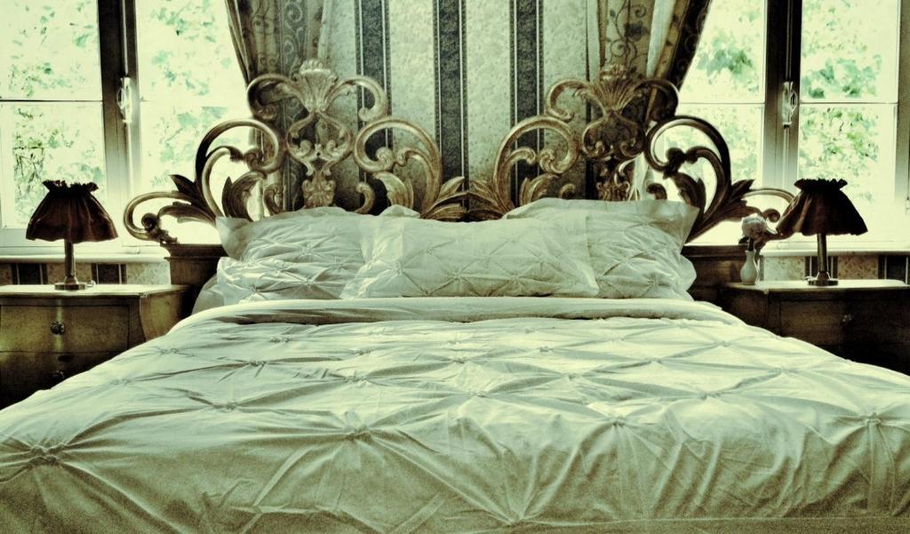 Le Relais Du Silence Chateau Lavail Labastide-dʼAnjou Værelse billede